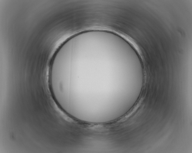 X0000114521006200910190946