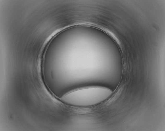 X0000114521007200910190946
