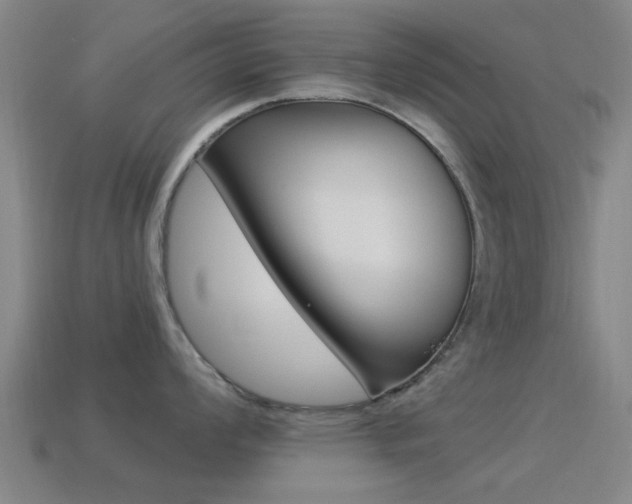 X0000114521008200910190946