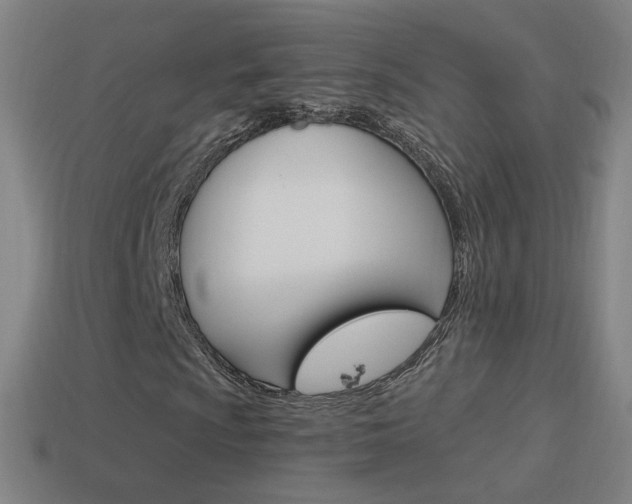 X0000114521009200910190945