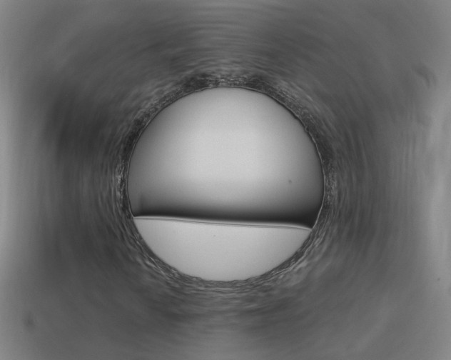 X0000114521010200910190945