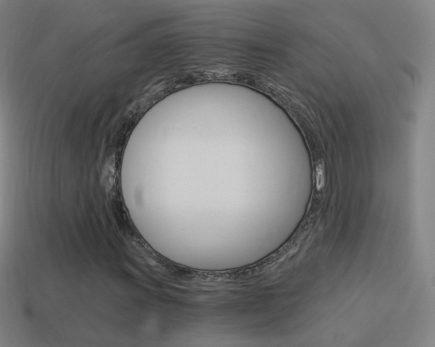 X0000114521011200910190945