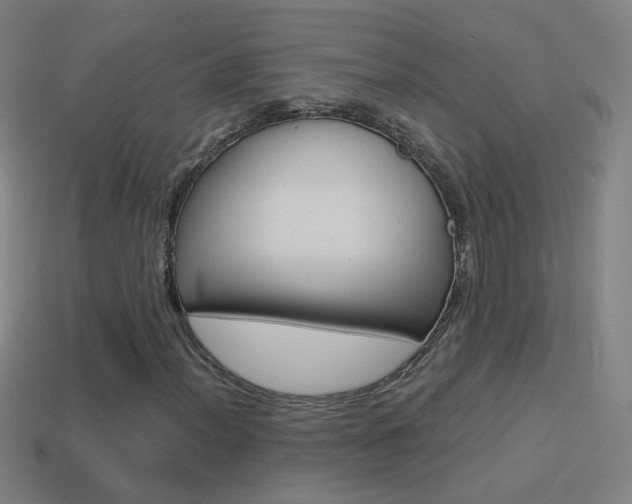 X0000114521012200910190945