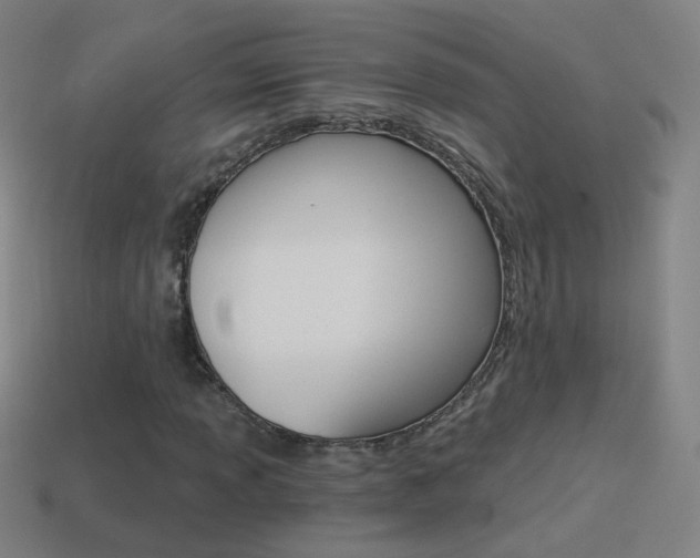 X0000114521013200910190945