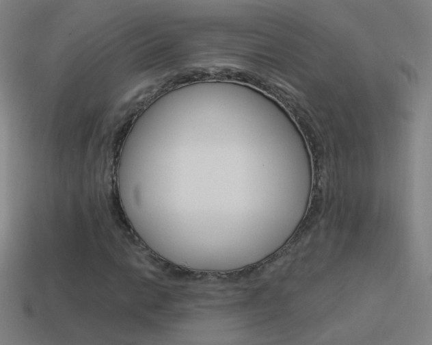 X0000114521014200910190945