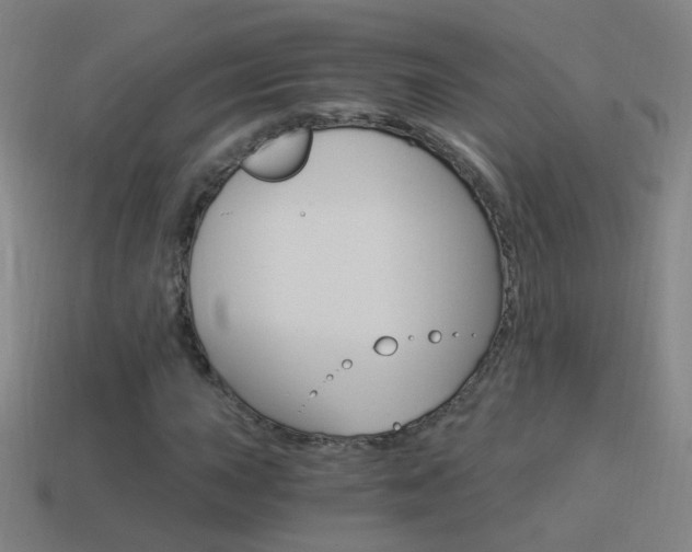 X0000114521015200910190945