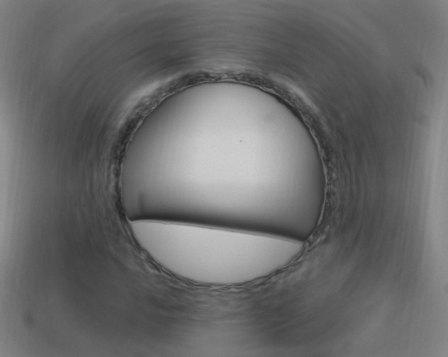 X0000114521016200910190945