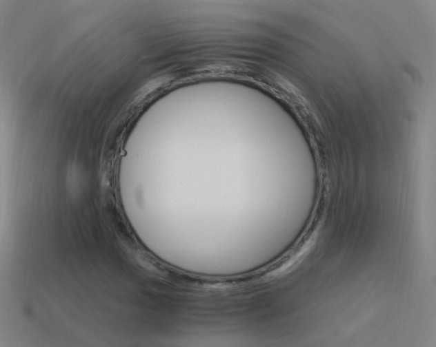 X0000114521017200910190945