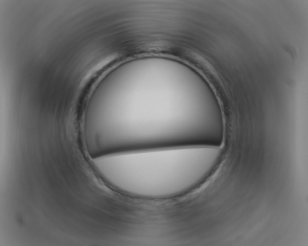 X0000114521018200910190945