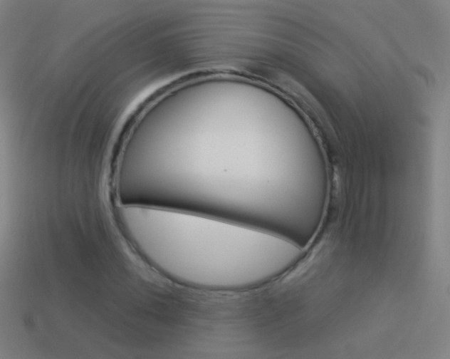 X0000114521020200910190945