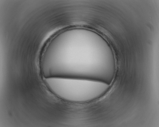 X0000114521022200910190945