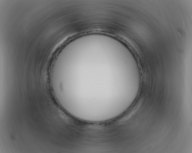 X0000114521023200910190945