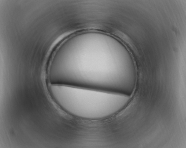 X0000114521024200910190945