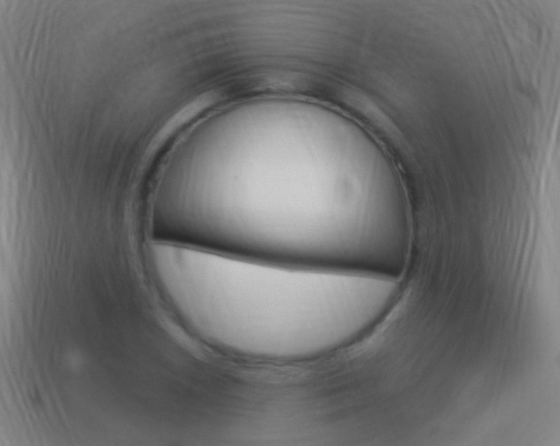 X0000114521026200910190945