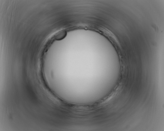 X0000114521027200910190945