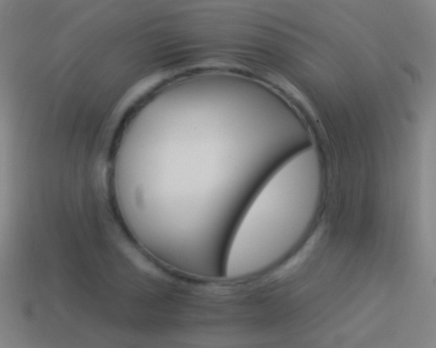 X0000114521029200910190945