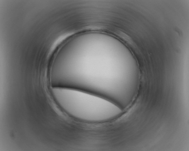 X0000114521030200910190945