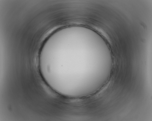 X0000114521031200910190945