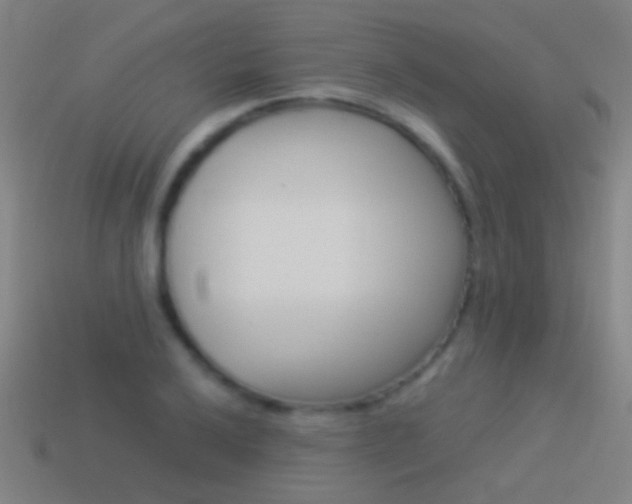 X0000114521032200910190945