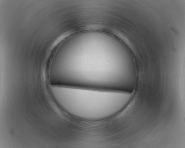 X0000114521034200910190946