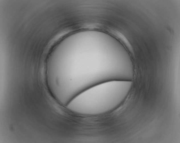 X0000114521035200910190946