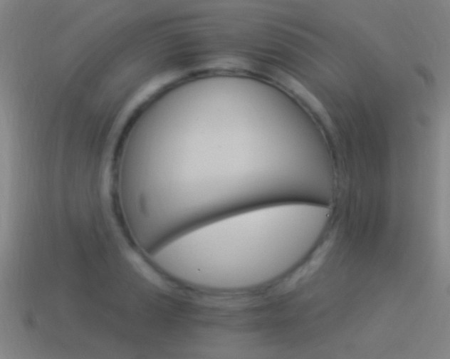 X0000114521037200910190946