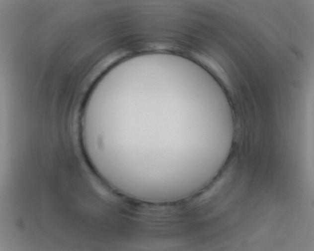 X0000114521039200910190946