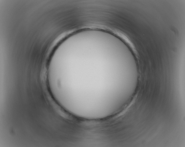 X0000114521040200910190946