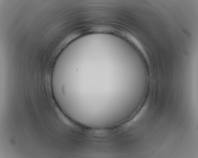 X0000114521041200910190946