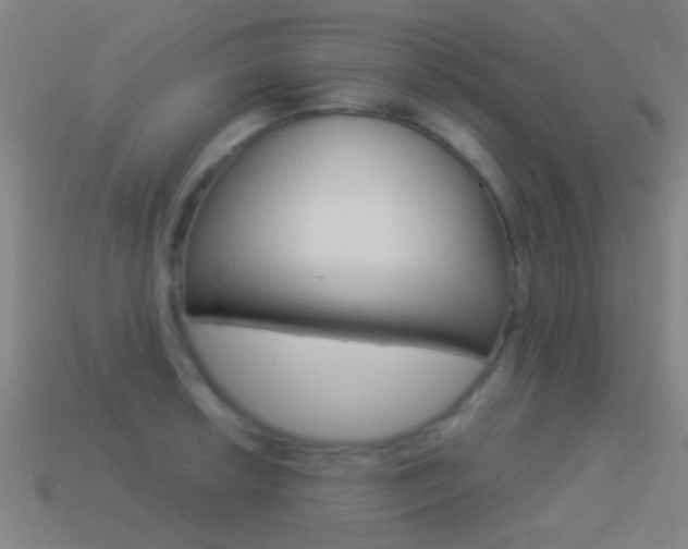 X0000114521042200910190946