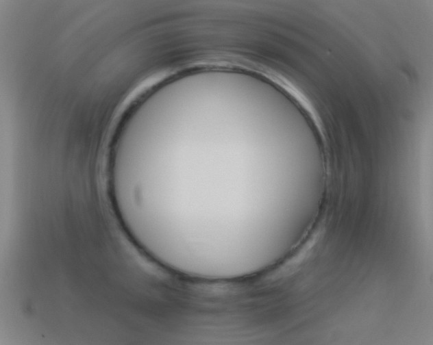 X0000114521045200910190946
