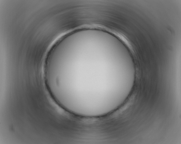 X0000114521046200910190946