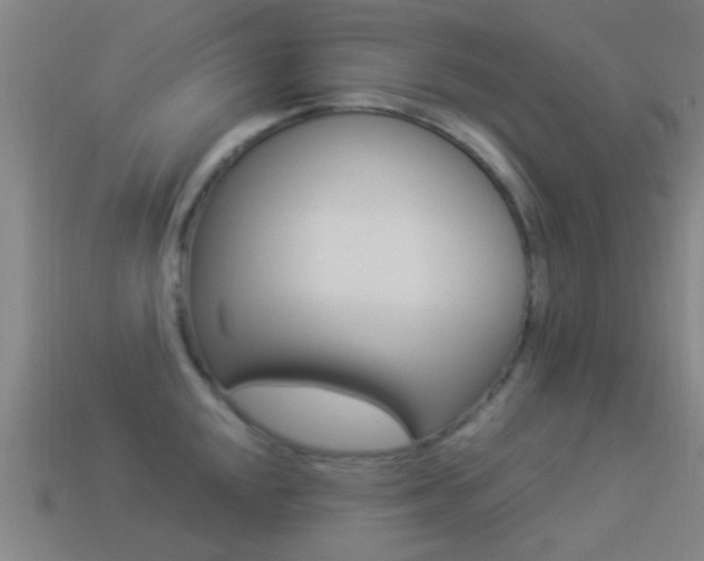 X0000114521048200910190946