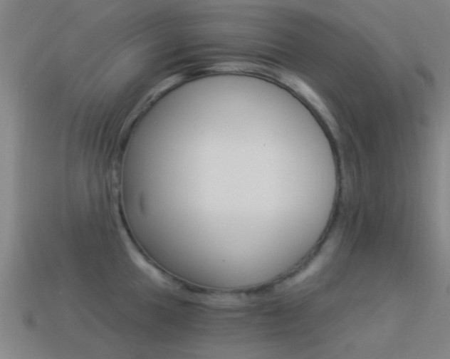 X0000114521049200910190946