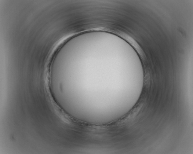 X0000114521051200910190946