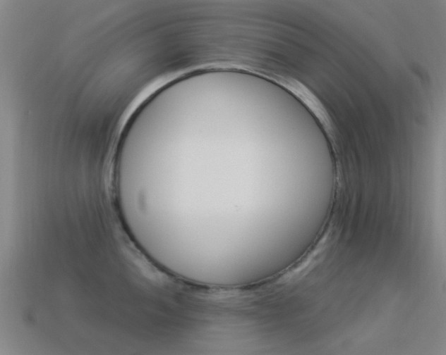 X0000114521052200910190946