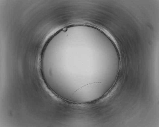 X0000114521053200910190946