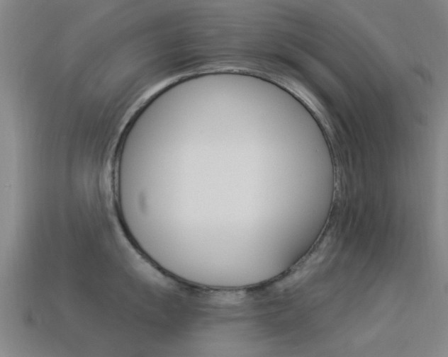 X0000114521055200910190946