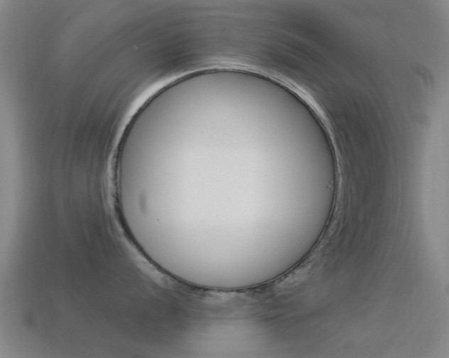 X0000114521056200910190946