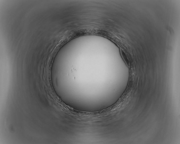 X0000114521057200910190945