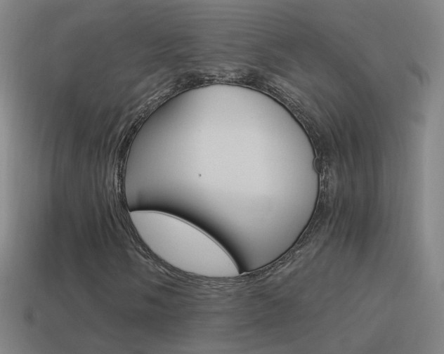 X0000114521058200910190945