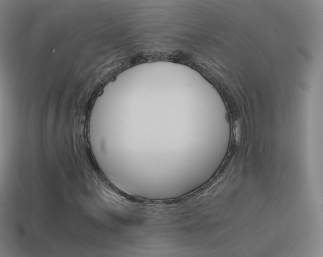 X0000114521059200910190945
