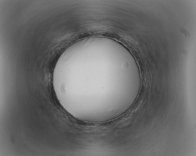 X0000114521061200910190945