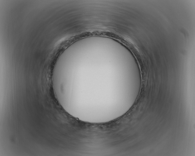 X0000114521063200910190945
