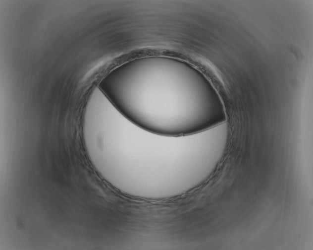 X0000114521064200910190945