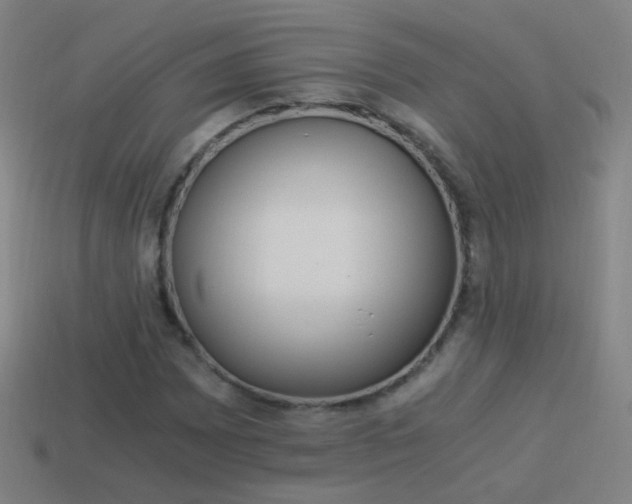 X0000114521065200910190945