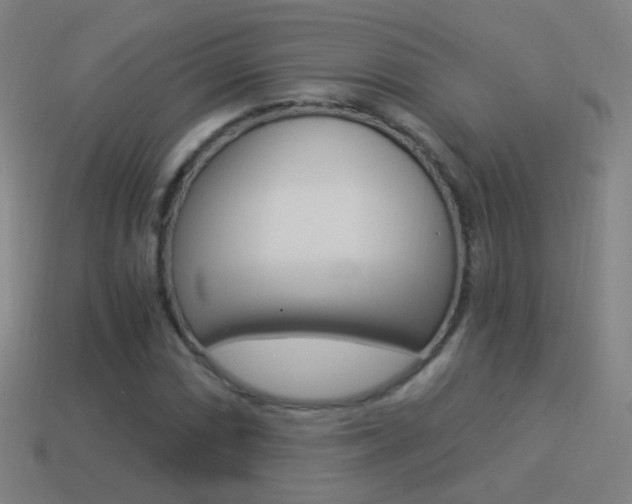 X0000114521066200910190945