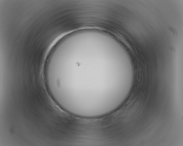 X0000114521068200910190945