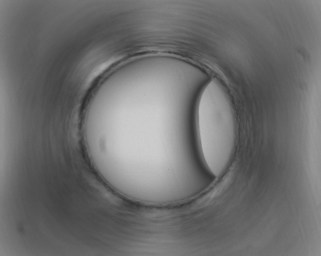 X0000114521071200910190945