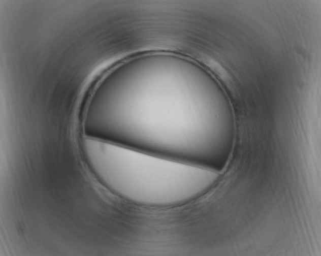 X0000114521072200910190945